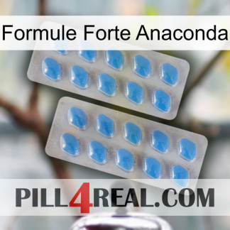 Anaconda Strong Formula 23